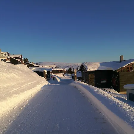 Sulseter Fjellstugu 아파트 빈스트라