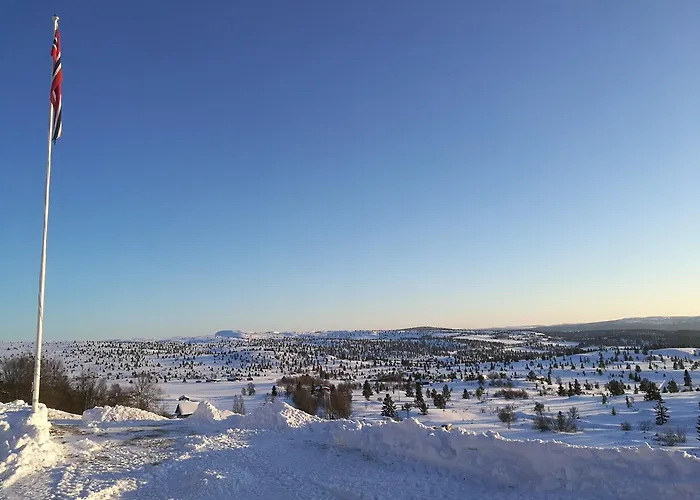 Sulseter Fjellstugu *