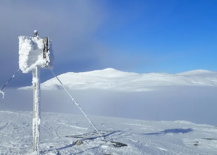 Sulseter Fjellstugu *