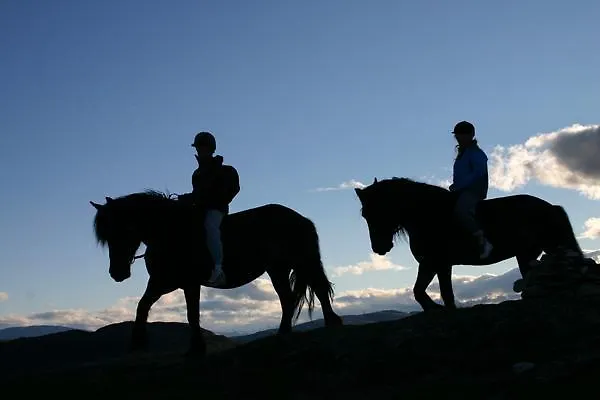 Sulseter Fjellstugu 아파트