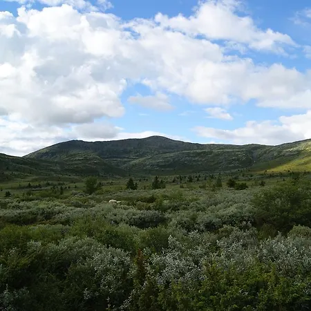 Sulseter Fjellstugu شقة فينسترا