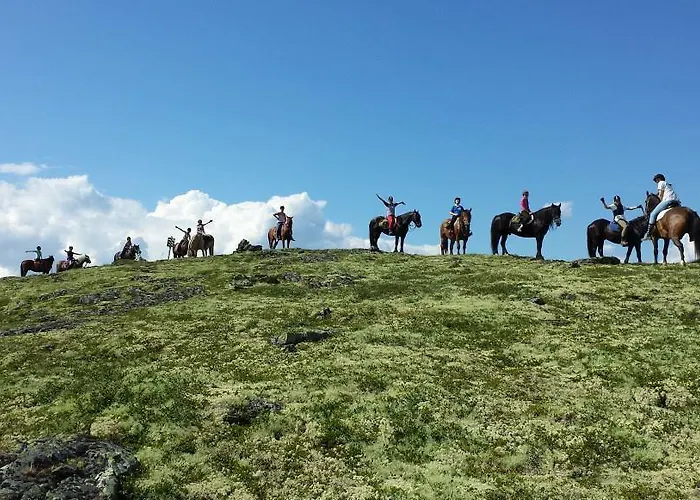 Sulseter Fjellstugu * Vinstra